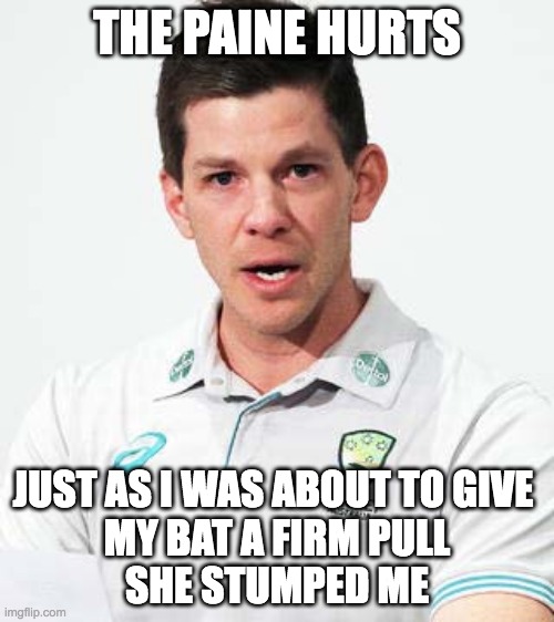 Tim's Bat Paine | THE PAINE HURTS; JUST AS I WAS ABOUT TO GIVE 
MY BAT A FIRM PULL
 SHE STUMPED ME | image tagged in tim in paine,cricket,australia,meanwhile in australia,tim paine | made w/ Imgflip meme maker
