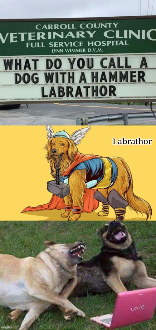 Labrathor | Labrathor | image tagged in dogs laughting,dogs,dog,memes,puns,pun | made w/ Imgflip meme maker