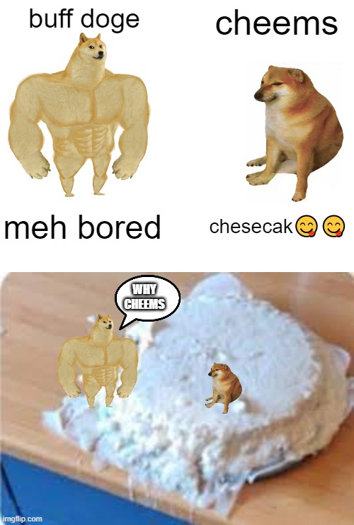 buff doge; cheems; meh bored; chesecak😋😋; WHY CHEEMS | image tagged in memes,buff doge vs cheems | made w/ Imgflip meme maker