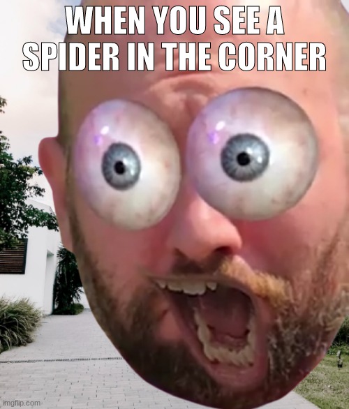 AHHHHHHHHHHHHHHHHHHHHHHHHHHHHHHHHHHHHHH | WHEN YOU SEE A SPIDER IN THE CORNER | image tagged in screaming wade | made w/ Imgflip meme maker