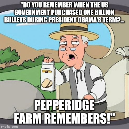 Leftists want to tell us how many bullets we can buy.  "WE WILL REMEMBER IN NOVEMBER"! | "DO YOU REMEMBER WHEN THE US GOVERNMENT PURCHASED ONE BILLION BULLETS DURING PRESIDENT OBAMA'S TERM?... PEPPERIDGE FARM REMEMBERS!" | image tagged in memes,pepperidge farm remembers,government,leftist,hypocrites | made w/ Imgflip meme maker