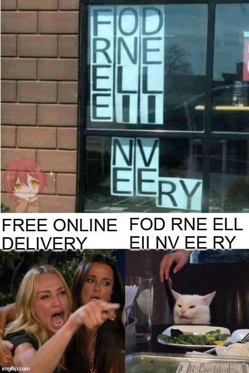 FREE ONLINE DELIVERY; FOD RNE ELL EII NV EE RY | image tagged in memes,woman yelling at cat | made w/ Imgflip meme maker