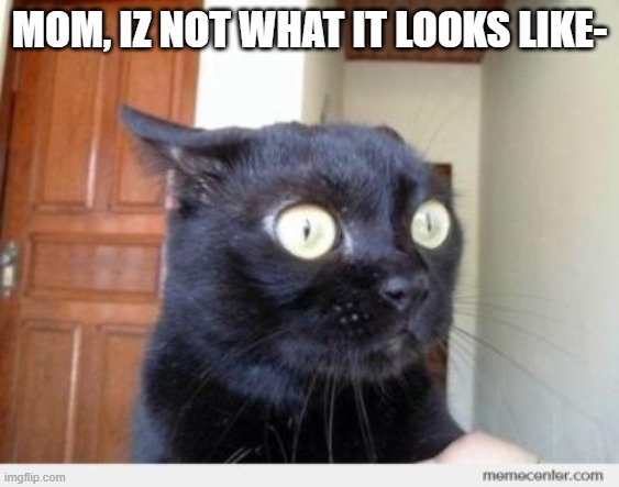 Scared Cat | MOM, IZ NOT WHAT IT LOOKS LIKE- | image tagged in scared cat | made w/ Imgflip meme maker