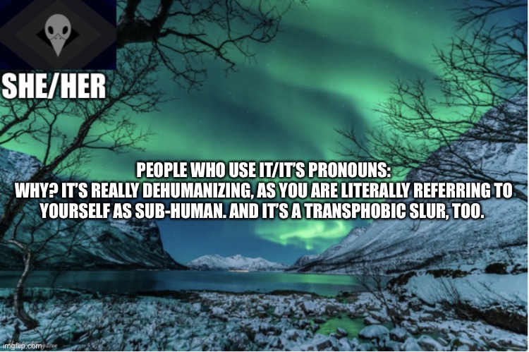 Northern Lights Termcollector Template | PEOPLE WHO USE IT/IT’S PRONOUNS:
WHY? IT’S REALLY DEHUMANIZING, AS YOU ARE LITERALLY REFERRING TO YOURSELF AS SUB-HUMAN. AND IT’S A TRANSPHOBIC SLUR, TOO. | image tagged in northern lights termcollector template | made w/ Imgflip meme maker