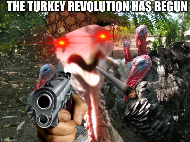 i was bored idk | THE TURKEY REVOLUTION HAS BEGUN | image tagged in turkeys,thanksgiving,revolution,gun,nani,scumbag | made w/ Imgflip meme maker