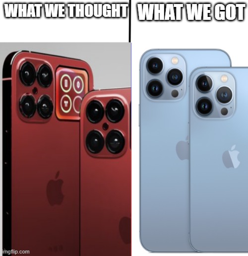 What We Thought! What We Got... | WHAT WE GOT; WHAT WE THOUGHT | image tagged in iphone 13 meme | made w/ Imgflip meme maker