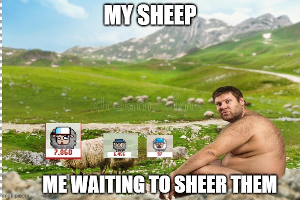 MY SHEEP; ME WAITING TO SHEER THEM | made w/ Imgflip meme maker