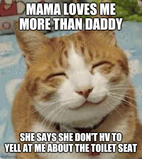 Happy cat | MAMA LOVES ME MORE THAN DADDY; SHE SAYS SHE DON'T HV TO YELL AT ME ABOUT THE TOILET SEAT | image tagged in happy cat | made w/ Imgflip meme maker