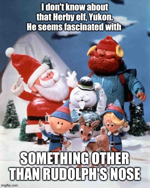 Rudolph The Red-Nosed Reindeer | I don't know about that Herby elf, Yukon. He seems fascinated with; SOMETHING OTHER THAN RUDOLPH'S NOSE | image tagged in rudolph the red-nosed reindeer | made w/ Imgflip meme maker
