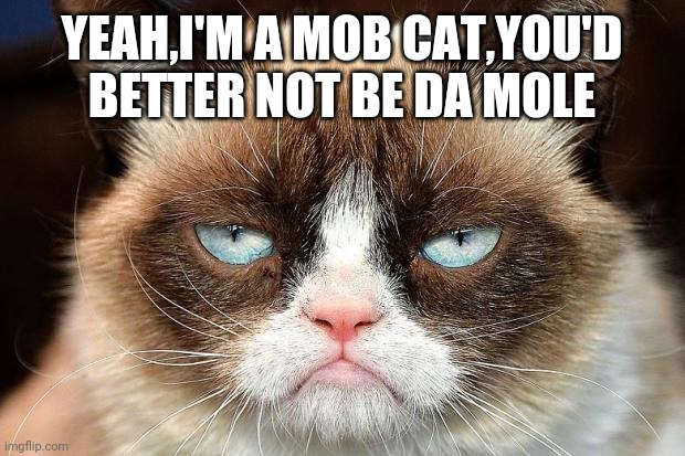 Grumpy Cat Not Amused | YEAH,I'M A MOB CAT,YOU'D BETTER NOT BE DA MOLE | image tagged in memes,grumpy cat not amused,grumpy cat | made w/ Imgflip meme maker