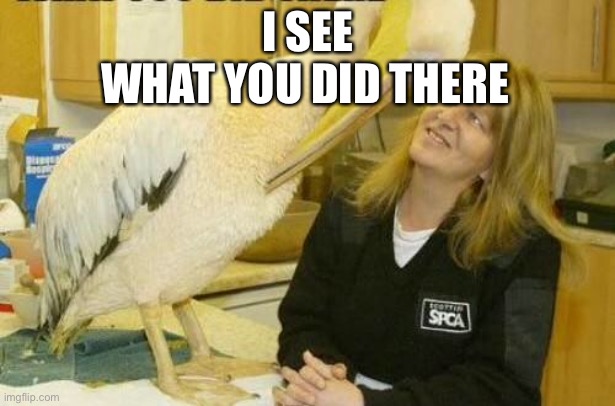 I see what you did there Pelican | I SEE WHAT YOU DID THERE | image tagged in i see what you did there pelican | made w/ Imgflip meme maker