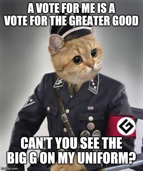 Grammar Nazi Cat | A VOTE FOR ME IS A VOTE FOR THE GREATER GOOD; CAN'T YOU SEE THE BIG G ON MY UNIFORM? | image tagged in grammar nazi cat | made w/ Imgflip meme maker