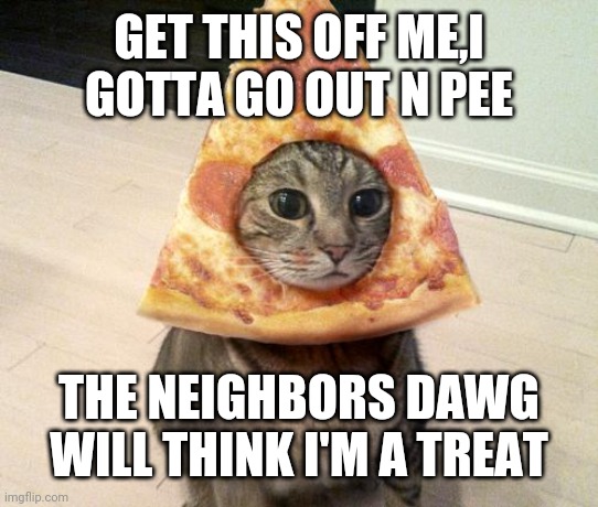 pizza cat |  GET THIS OFF ME,I GOTTA GO OUT N PEE; THE NEIGHBORS DAWG WILL THINK I'M A TREAT | image tagged in pizza cat | made w/ Imgflip meme maker