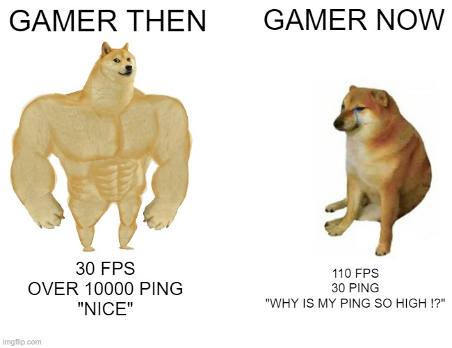 Buff Doge vs. Cheems | GAMER THEN; GAMER NOW; 30 FPS
OVER 10000 PING
"NICE"; 110 FPS
30 PING
"WHY IS MY PING SO HIGH !?" | image tagged in memes,buff doge vs cheems | made w/ Imgflip meme maker