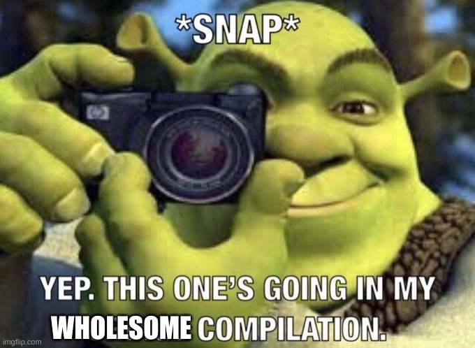 yep this one's going in my cringe compilation | WHOLESOME | image tagged in yep this one's going in my cringe compilation | made w/ Imgflip meme maker