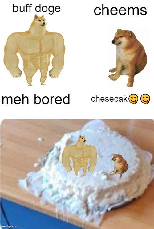 almost there | buff doge; cheems; meh bored; chesecak😋😋 | image tagged in memes,buff doge vs cheems | made w/ Imgflip meme maker