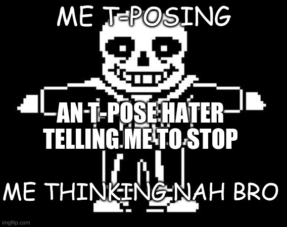 sans T-posing | ME T-POSING; AN T-POSE HATER TELLING ME TO STOP; ME THINKING NAH BRO | image tagged in sans,undertale,sansundertale | made w/ Imgflip meme maker