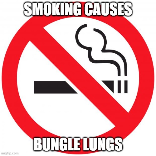 And It Makes You Smell Like A Human Garbage Fire |  SMOKING CAUSES; BUNGLE LUNGS | image tagged in no smoking,smoking,tobacco,dumpster fire,stinky,cancer | made w/ Imgflip meme maker