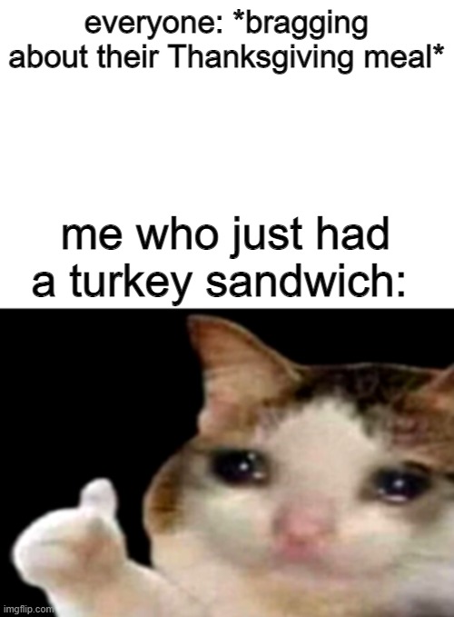 What do i put here | everyone: *bragging about their Thanksgiving meal*; me who just had a turkey sandwich: | image tagged in turkey,im bored,oh look a trash meme,haha | made w/ Imgflip meme maker