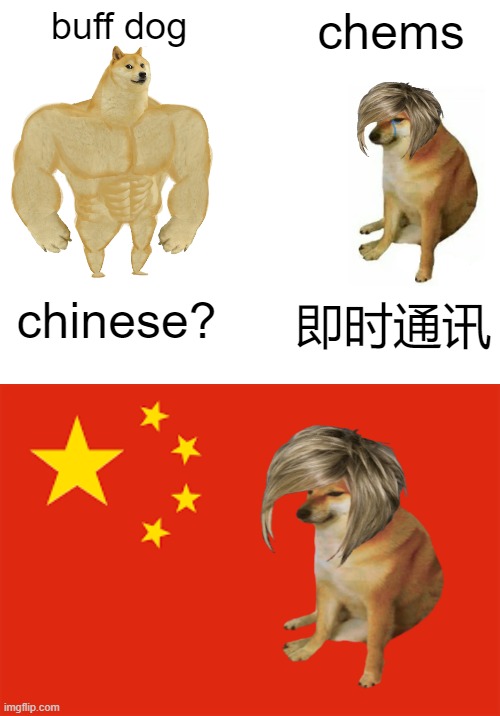 buff dog; chems; chinese? 即时通讯 | image tagged in memes,buff doge vs cheems | made w/ Imgflip meme maker