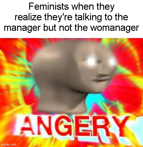 Femine | Feminists when they realize they're talking to the manager but not the womanager | image tagged in surreal angery,feminism,karen the manager will see you now,manager,karen,meme | made w/ Imgflip meme maker