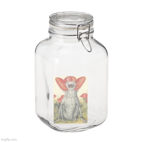 Glass Jar | image tagged in glass jar | made w/ Imgflip meme maker