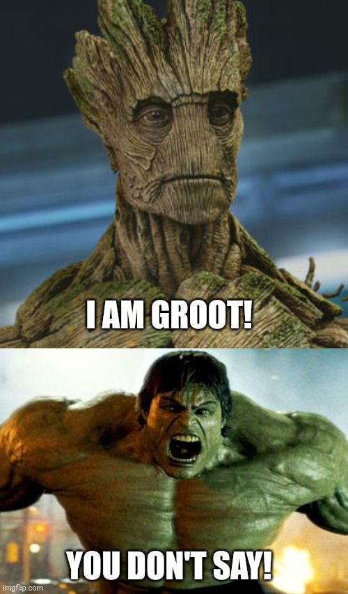  I AM GROOT! YOU DON'T SAY! | image tagged in i am groot,hulk | made w/ Imgflip meme maker