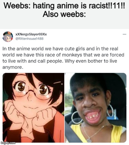 Weebs: hating anime is racist!!11!!
Also weebs: | made w/ Imgflip meme maker