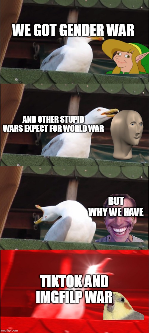 why tho | WE GOT GENDER WAR; AND OTHER STUPID WARS EXPECT FOR WORLD WAR; BUT WHY WE HAVE; TIKTOK AND IMGFILP WAR | image tagged in memes,inhaling seagull | made w/ Imgflip meme maker