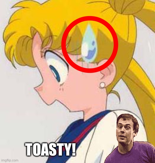 Sailor Moon animation error had triggered “TOASTY!” |  TOASTY! | image tagged in animation fails,toasty,memes,sailor moon,design fails,anime | made w/ Imgflip meme maker