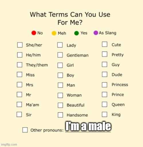 Pronouns Sheet | I'm a male | image tagged in pronouns sheet | made w/ Imgflip meme maker