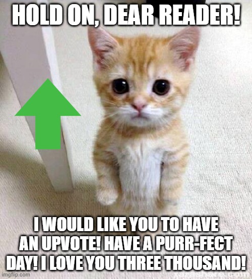 Have an upvote! Also, a cookie. (⁙) | HOLD ON, DEAR READER! I WOULD LIKE YOU TO HAVE AN UPVOTE! HAVE A PURR-FECT DAY! I LOVE YOU THREE THOUSAND! | image tagged in memes,cute cat | made w/ Imgflip meme maker