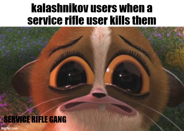 anomic guns are pretty balanced if u know how to use them | kalashnikov users when a service rifle user kills them; SERVICE RIFLE GANG | image tagged in crying mort,anomic | made w/ Imgflip meme maker