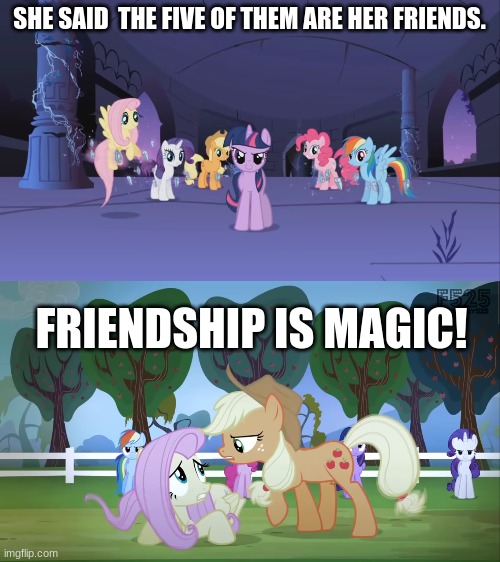 fluttershy vs the mane 5 | SHE SAID  THE FIVE OF THEM ARE HER FRIENDS. FRIENDSHIP IS MAGIC! | image tagged in sad | made w/ Imgflip meme maker