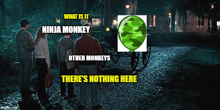 meme | WHAT IS IT; NINJA MONKEY; OTHER MONKEYS; THERE'S NOTHING HERE | image tagged in harry potter,harry potter meme,memes,funny,gaming | made w/ Imgflip meme maker