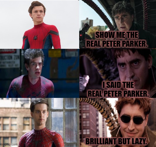 Show me the real Peter Parker | SHOW ME THE REAL PETER PARKER. I SAID THE REAL PETER PARKER. BRILLIANT BUT LAZY. | image tagged in perfection,doc ock,spiderman peter parker | made w/ Imgflip meme maker