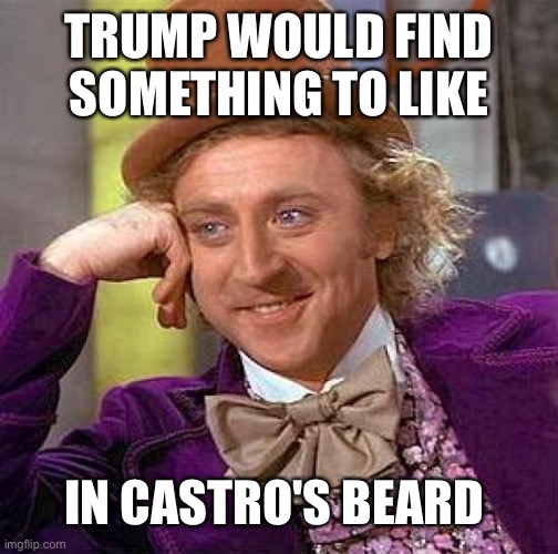 Creepy Condescending Wonka | TRUMP WOULD FIND SOMETHING TO LIKE; IN CASTRO'S BEARD | image tagged in memes,creepy condescending wonka | made w/ Imgflip meme maker