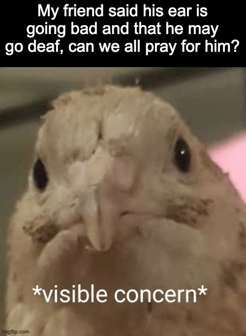 I'm worried to death |  My friend said his ear is going bad and that he may go deaf, can we all pray for him? | image tagged in visible concern bird | made w/ Imgflip meme maker