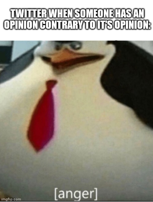 Twitter anger | TWITTER WHEN SOMEONE HAS AN OPINION CONTRARY TO IT'S OPINION: | image tagged in anger,penguin,twitter,twitter birds says | made w/ Imgflip meme maker