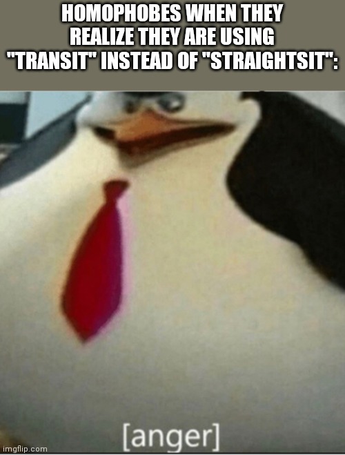 Lolszsz | HOMOPHOBES WHEN THEY REALIZE THEY ARE USING "TRANSIT" INSTEAD OF "STRAIGHTSIT": | image tagged in anger,homophobic,homophobia,homophobe | made w/ Imgflip meme maker