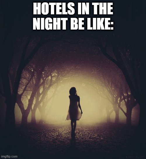 Spoopy | HOTELS IN THE NIGHT BE LIKE: | image tagged in walk in shadow night | made w/ Imgflip meme maker