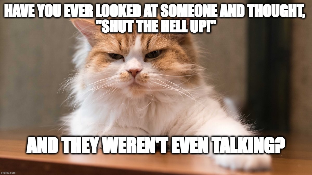 SHTU | HAVE YOU EVER LOOKED AT SOMEONE AND THOUGHT, 
"SHUT THE HELL UP!"; AND THEY WEREN'T EVEN TALKING? | image tagged in grumpy cat,sthu | made w/ Imgflip meme maker