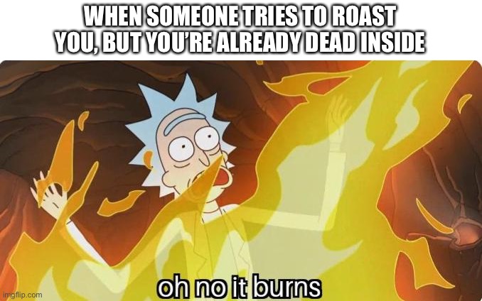 Dead inside | WHEN SOMEONE TRIES TO ROAST YOU, BUT YOU’RE ALREADY DEAD INSIDE | image tagged in oh no it burns rick and morty,roast,dead inside | made w/ Imgflip meme maker