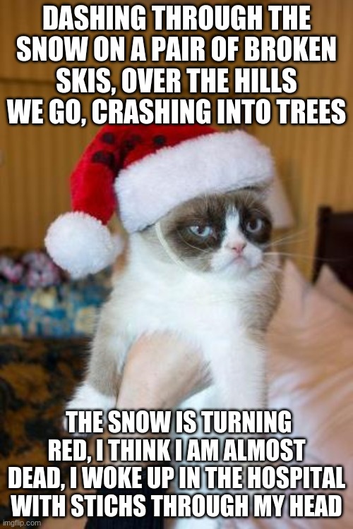 HaPpY HoLiDaYs | DASHING THROUGH THE SNOW ON A PAIR OF BROKEN SKIS, OVER THE HILLS WE GO, CRASHING INTO TREES; THE SNOW IS TURNING RED, I THINK I AM ALMOST DEAD, I WOKE UP IN THE HOSPITAL WITH STICHS THROUGH MY HEAD | image tagged in memes,grumpy cat christmas,grumpy cat | made w/ Imgflip meme maker