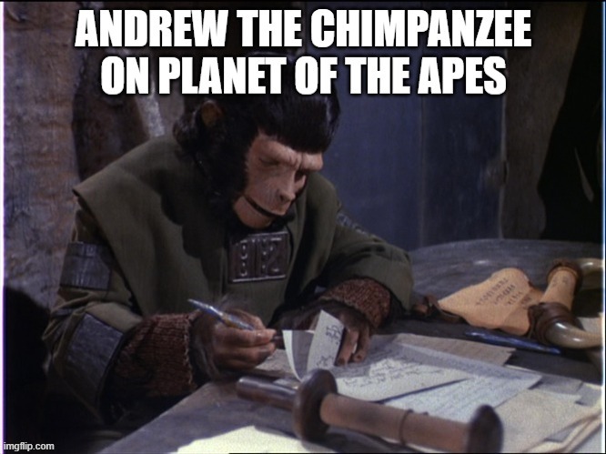 Andrew | image tagged in andrew | made w/ Imgflip meme maker