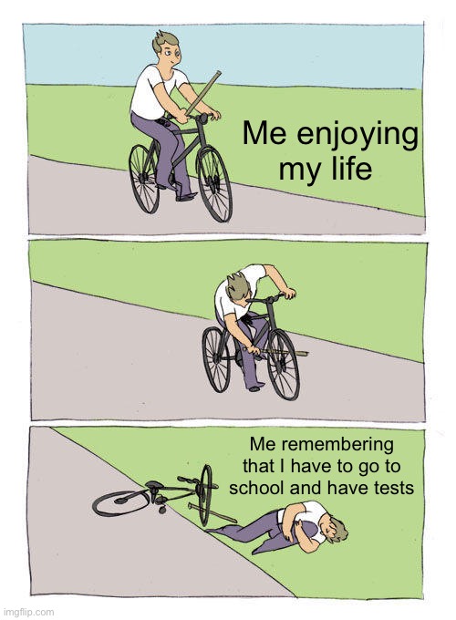 Bike Fall | Me enjoying my life; Me remembering that I have to go to school and have tests | image tagged in memes,bike fall | made w/ Imgflip meme maker