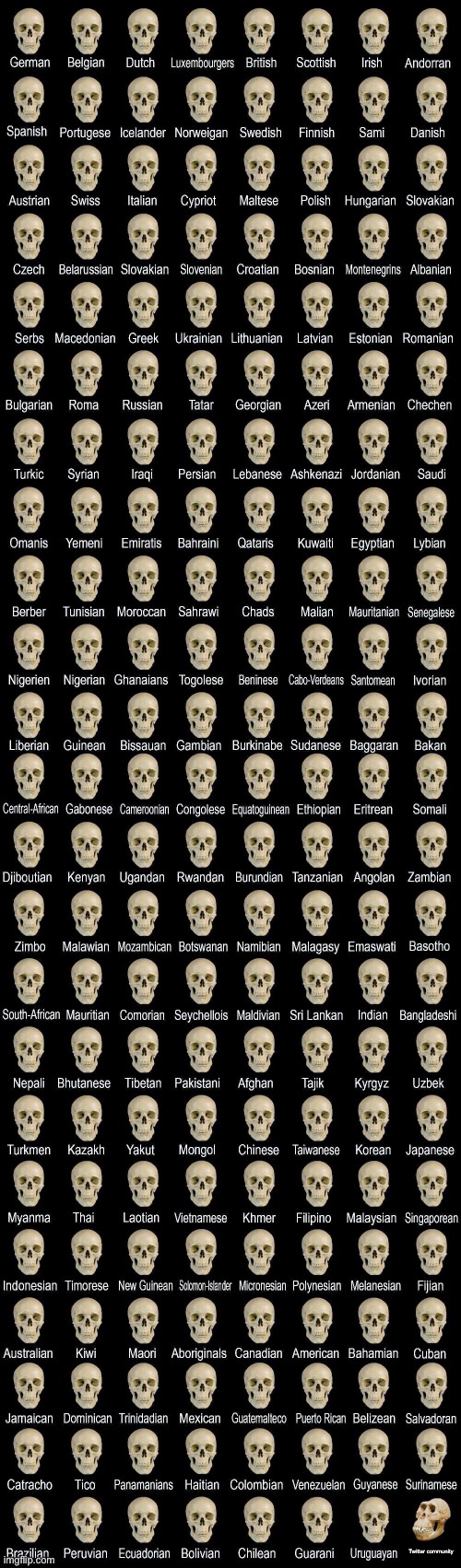 Deformed skull |  Twitter community | image tagged in deformed skull,memes,twitter,bad,skull,oh wow are you actually reading these tags | made w/ Imgflip meme maker