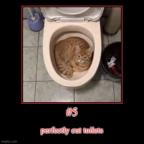 perfectly *cute toilets | image tagged in funny,demotivationals | made w/ Imgflip demotivational maker