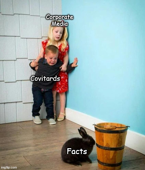 "Misinformation" | Corporate
Media; Covitards; Facts | image tagged in political memes,children scared of rabbit,covid,corporations,media lies,libtards | made w/ Imgflip meme maker
