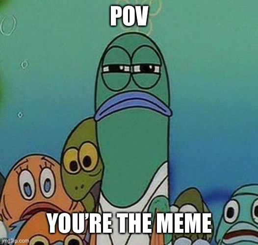 SpongeBob | POV YOU’RE THE MEME | image tagged in spongebob | made w/ Imgflip meme maker